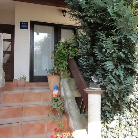 Apartment For 2, Sinisa In *